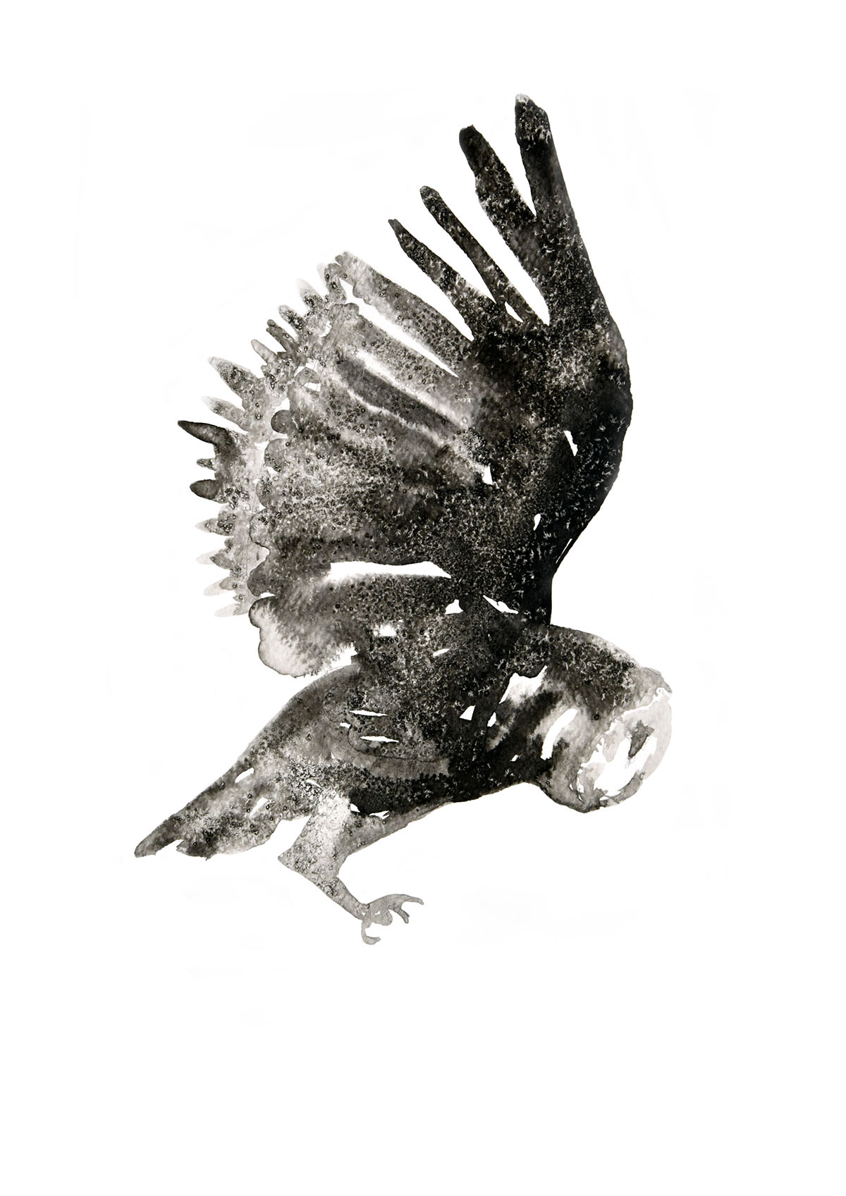 HuntingOWL